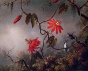 马丁 约翰逊 赫德 : Passion Flowers and Hummingbirds